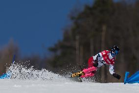 FIS Snowboard World Cup