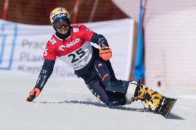 FIS Snowboard World Cup