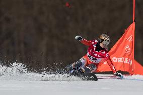 FIS Snowboard World Cup