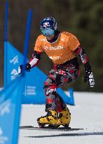 FIS Snowboard World Cup