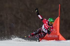 FIS Snowboard World Cup