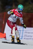 FIS Snowboard World Cup