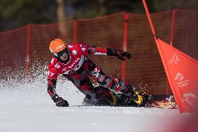 FIS Snowboard World Cup