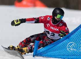 FIS Snowboard World Cup