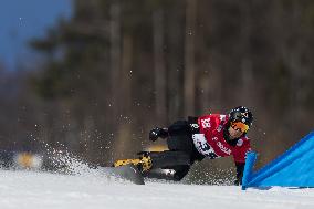 FIS Snowboard World Cup