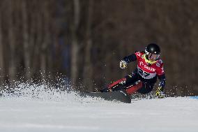 FIS Snowboard World Cup