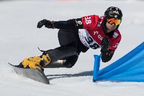 FIS Snowboard World Cup