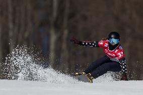 FIS Snowboard World Cup