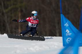 FIS Snowboard World Cup