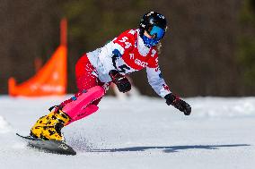 FIS Snowboard World Cup 2024 In Krynica