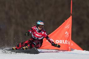 FIS Snowboard World Cup