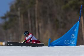 FIS Snowboard World Cup