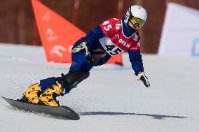 FIS Snowboard World Cup