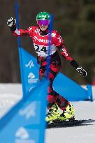 FIS Snowboard World Cup