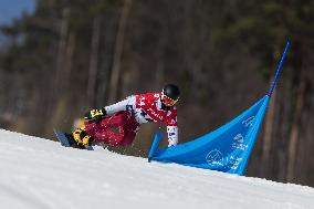 FIS Snowboard World Cup