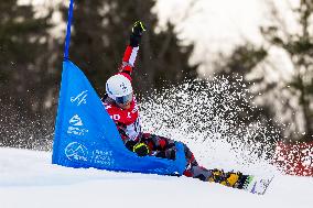 FIS Snowboard World Cup 2024 In Krynica