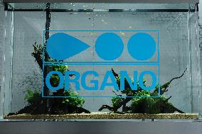 Organo signage and logo