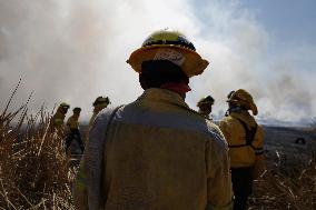Firefighters Extinguish A Fire In The Cuemanco Ecological Park In Mexico City