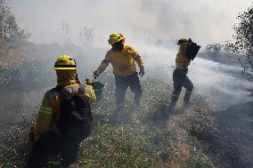 Firefighters Extinguish A Fire In The Cuemanco Ecological Park In Mexico City