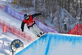(SP)CHINA-INNER MONGOLIA-HULUN BUIR-14TH NATIONAL WINTER GAMES-FREESTYLE SKIING-HALFPIPE (CN)