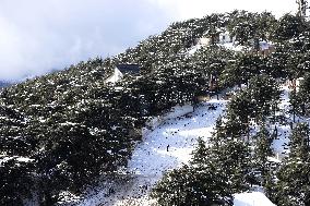 Snowfall In The Sharia Mountains In Blida In Algeria