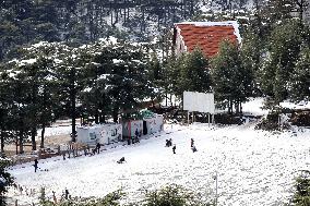 Snowfall In The Sharia Mountains In Blida In Algeria