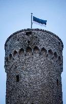 106th anniversary of the Republic of Estonia.