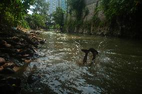 Water Pollution Due To Plastic Waste In Indonesia