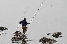 Chinese Fishing Population