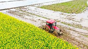 Spring Ploughing in Chongqing