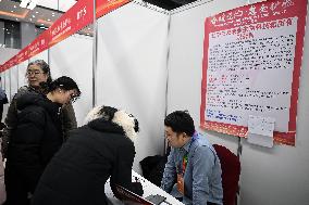 Job Fair in Shenyang