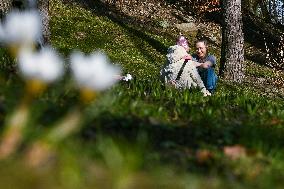First crocuses bloom in Lviv Stryiskyi Park