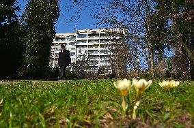 First crocuses bloom in Lviv Stryiskyi Park