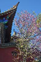 Legal temple in Kunming in Kunming