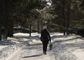 Daily Life In Edmonton