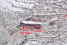Taoist Longevity Palace Snow Scenery in Liaoyuan