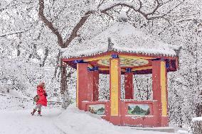 Taoist Longevity Palace Snow Scenery in Liaoyuan