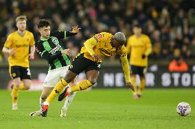 Wolverhampton Wanderers v Brighton & Hove Albion - Emirates FA Cup Fifth Round