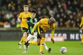 Wolverhampton Wanderers v Brighton & Hove Albion - Emirates FA Cup Fifth Round