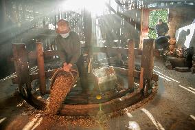 Camellia Oil Makes A Comeback in Fujian, China