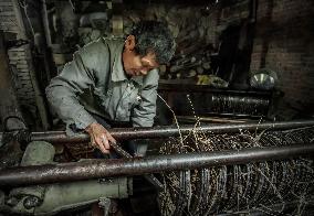 Camellia Oil Makes A Comeback in Fujian, China