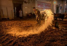 Liquor-making craft of China's Liaoyuan Longquan Distillery Co.