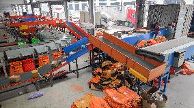 Express Delivery Management