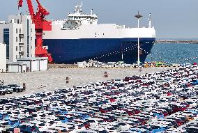 Vehicles Export in Lianyungang Port
