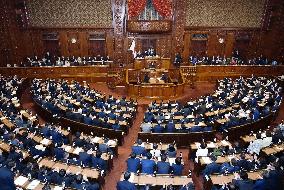 Japan lower house passes fiscal 2024 budget