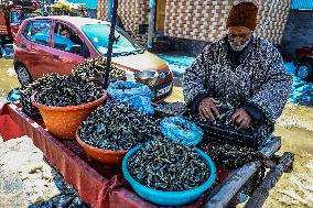 Dried Fish In Kashmir