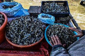 Dried Fish In Kashmir
