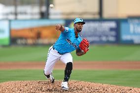 Mets v Marlins - MLB Spring Training