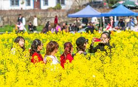 Tourists Play Among The Blooming Rapeseed Flowers in Chongqing
