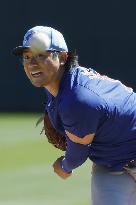 Baseball: MLB spring training game